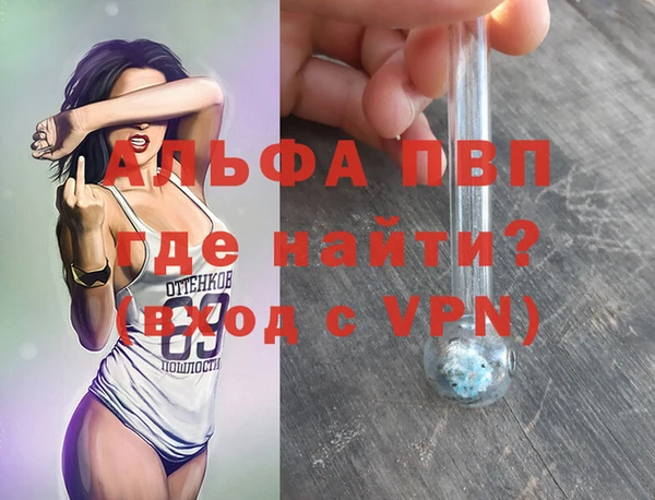 крисы Липки