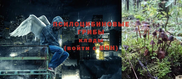 гидра Лихославль
