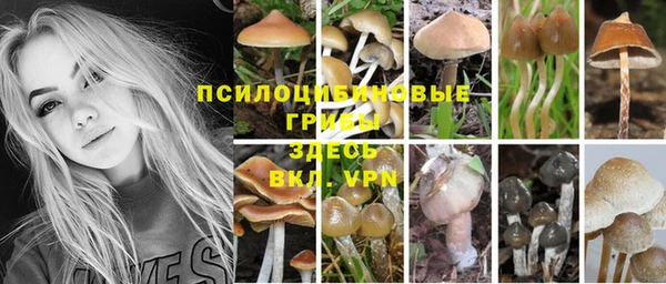 ECSTASY Майский