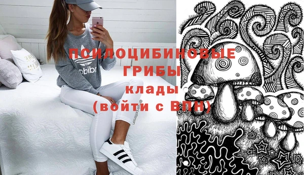 ECSTASY Майский