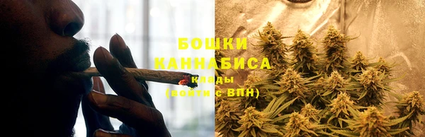 крисы Липки