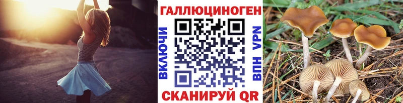 MEGA зеркало  Шахунья  Галлюциногенные грибы мухоморы 