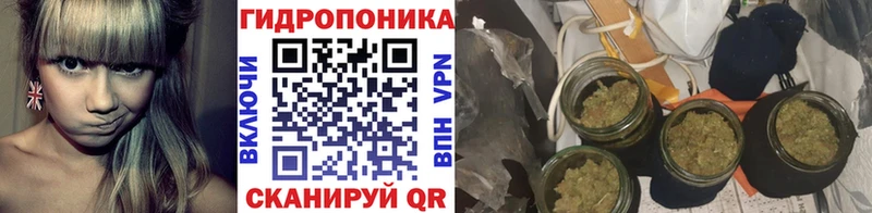 кракен зеркало  Шахунья  Бошки Шишки AK-47 